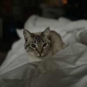 Meet your Posher, Julia